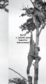 Kurič v letnom kine - Augustín Dobrovodský 1