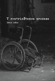 V roztrieštenom procese - Paška Dávid 1