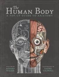 The Human Body - Richard Walker, Templar Publishing