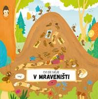 Čo sa deje v mravenisku - Petra Bartíková