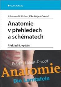 Anatomie v přehledech a schématech - Johannes W. Rohen, Elke Lütjen-Drecoll
