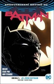 Batman Já jsem Gotham - Tom King, David Finch 1