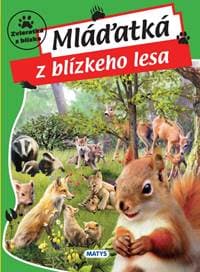 Mláďatká z blízkeho lesa - autor neuvedený 1