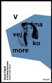 V tmavej komore - Susan Faludi