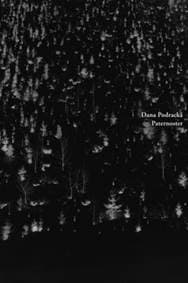 Paternoster - Dana Podracká 1