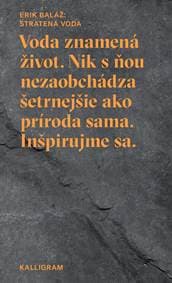 Stratená voda č.2 - Erik Baláž 1