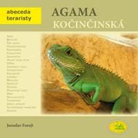 Agama kočinčinská - Abeceda teraristy - Forejt Jaroslav 1