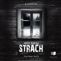 Audiokniha Strach (CD) - CD