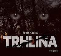 Audiokniha Trhlina (CD) - CD
