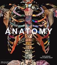 Anatomy - autor neuvedený 1