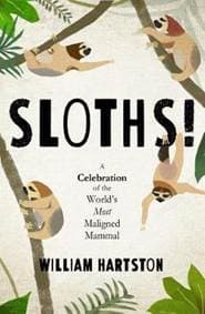 Sloths - autor neuvedený