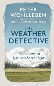 The Weather Detective - autor neuvedený