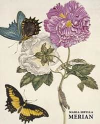 Maria Sibylla Merian - autor neuvedený 1