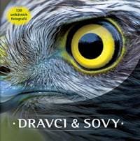 Dravci a sovy - autor neuvedený