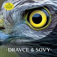 Dravce a sovy - autor neuvedený 1