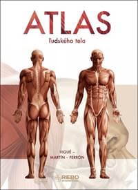 Atlas ľudského tela - Jordi Vigué 1