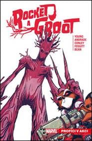 Rocket a Groot Profíci v akci - Skottie Young 1