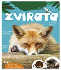 Zvířata - autor neuvedený 1