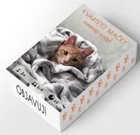 Kvarteto mačky - autor neuvedený 1