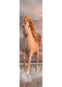 3D záložka - Unicorn Splash - autor neuvedený
