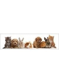 3D záložka - Pet shop gang - autor neuvedený