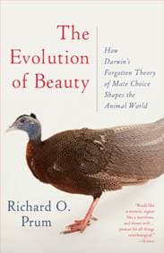 Evolution of Beauty : How Darwins Forgotten Theory of Mate Choice Shapes the Animal World - and Us - autor neuvedený