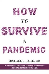 How to Survive a Pandemic - autor neuvedený 1
