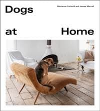 Dogs at Home - autor neuvedený 1