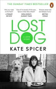 Lost Dog - autor neuvedený