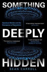Something Deeply Hidden Quantum Worlds and the Emergence of Spacetime - autor neuvedený 1