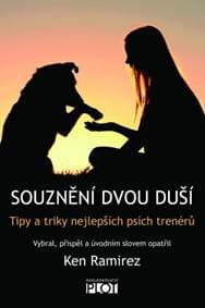 Souznění dvou duší - Tipy a triky nejlep - Ramirez Ken 1
