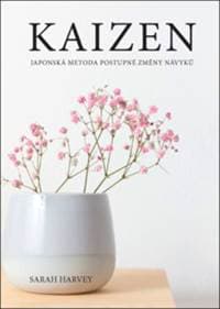 Kaizen - Sarah Harvey 1