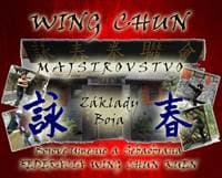 Wing Chun Majstrovstvo. Základy Boja + DVD - Si-Fu Juraj Povinec