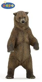 Medvěd grizzly - autor neuvedený 1