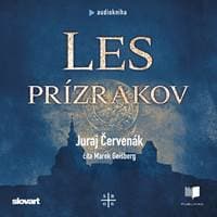 Audiokniha Les prízrakov (Barbarič a Stein 6) (CD) - CD