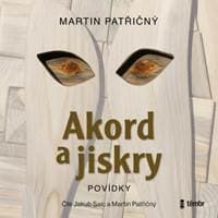 Akord a jiskry – Povídky - audioknihovna - Patřičný Martin 1