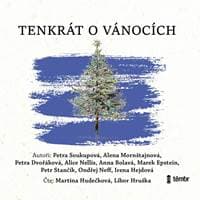 Tenkrát o Vánocích - audioknihovna - Kolektív