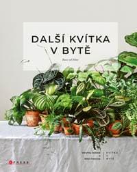 Další kvítka v bytě: Ruce od hlíny - Kolektív autorov 1