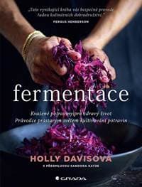 Fermentace - Kvašené potraviny pro zdravý život - Davisová Holly 1