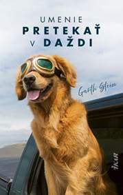 Umenie pretekať v daždi - Stein Garth 1