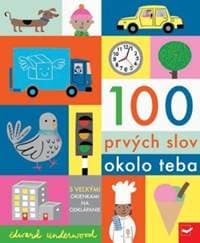 100 prvých slov okolo teba - Underwood Edward 1