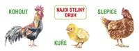 Najdi stejný druh - autor neuvedený 1