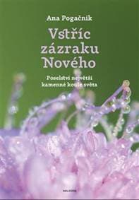 Vstříc zázraku nového - Ana Pogačnik