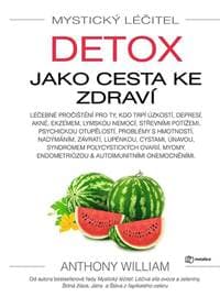 Mystický léčitel: Detox jako cesta ke zdraví - William Anthony 1
