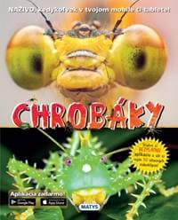 Chrobáky - autor neuvedený 1