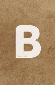 Bible, překlad 21. století XL (2021) - autor neuvedený 1