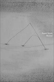 Ricorso - Árpád Tőzsér 1