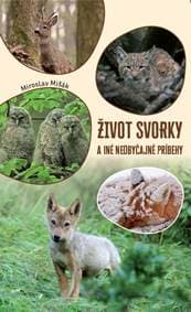 Život svorky a iné neobyčajné príbehy - Miroslav Mišák