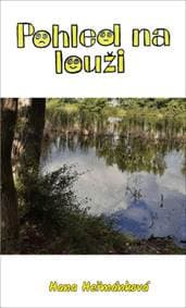Pohled na louži - Hana Heřmánková 1