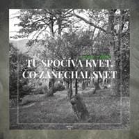 Tu spočíva kvet, čo zanechal svet - Aláč Ján 1